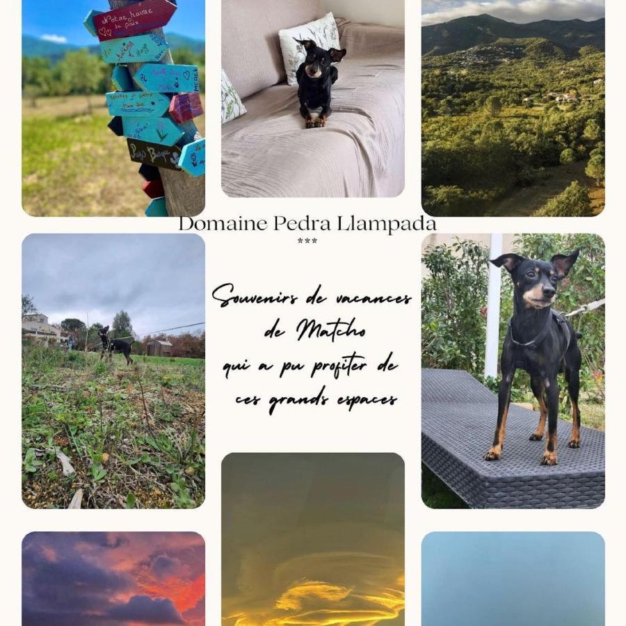 Domaine Pedra Llampada Gite Mer Villelongue-dels-Monts Esterno foto