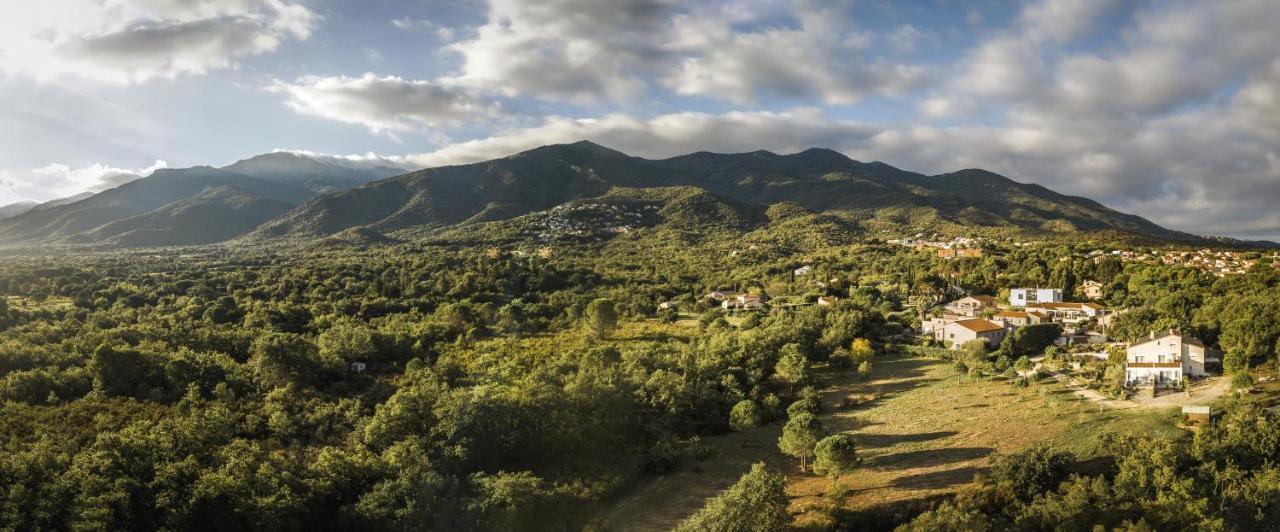 Domaine Pedra Llampada Gite Mer Villelongue-dels-Monts Esterno foto